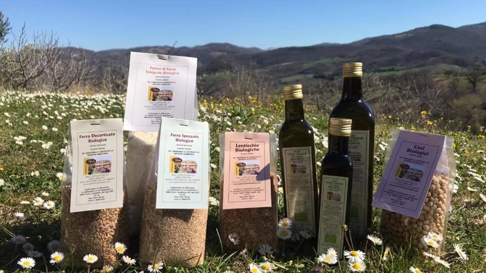 Agriturismo Il Castello Assisi Buitenkant foto