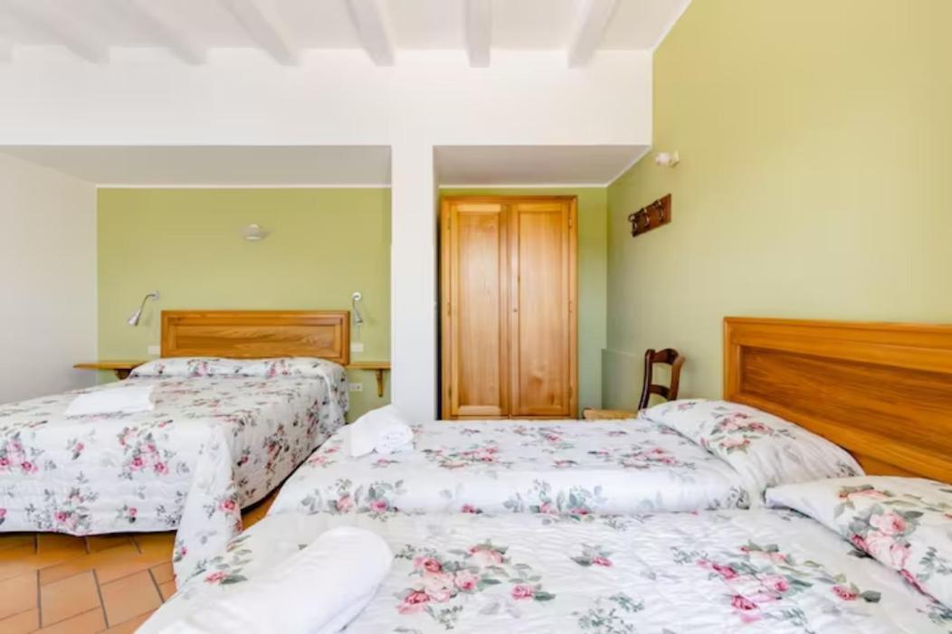 Agriturismo Il Castello Assisi Buitenkant foto