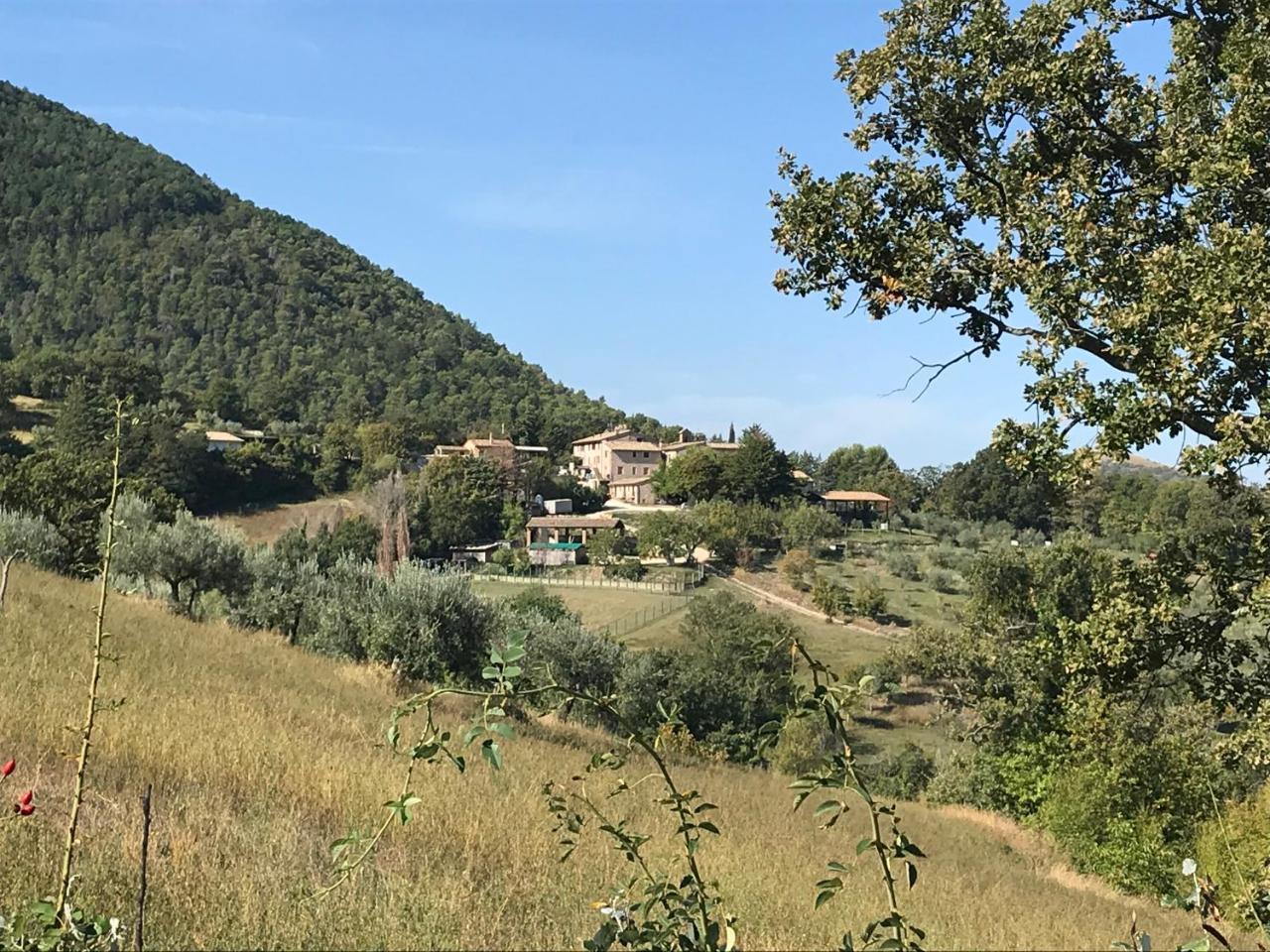 Agriturismo Il Castello Assisi Buitenkant foto